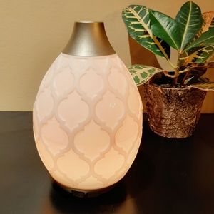 Brand New Desert Mist Diffuser